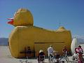 Rubber Duckie 2